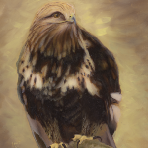 Aletta—Rough-legged Hawk (Giclée Canvas Print)