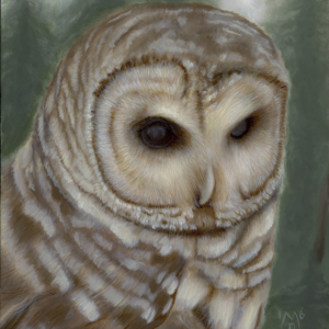 Barry the Barred Owl Contemplates His Life and Death (Giclée Canvas Print)