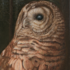 Barry the Barred Owl Watches the Moonrise (Giclée Canvas Print)