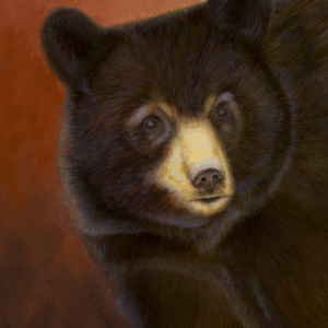 Black Bear in a Forest Fire (Giclée Canvas Print) (12" x 9")