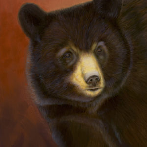 Black Bear in a Forest Fire (12" x 9")