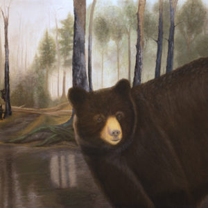 After the Blaze—Black Bear Survivors (24" x 36")