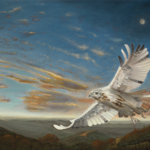 Cloudfeather's Dream (Giclée Canvas Print)
