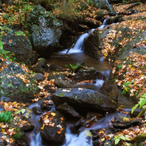 Douglas Falls No. 1—Waterfall Landscape