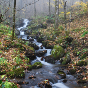 Douglas Falls No. 2—Waterfall Landscape
