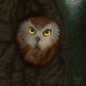 On the Lookout—Northern Saw-Whet Owl (12" x 9")