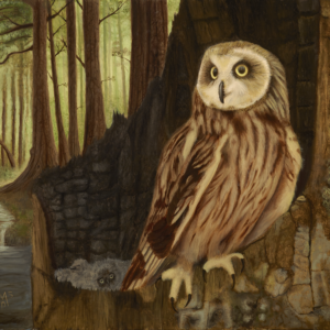 Standing Guard—Short-Eared Owl (18" x 24")