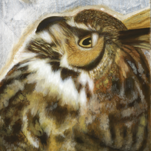 Hoot at the Moon—Great Horned Owl Portrait (16" x 12")