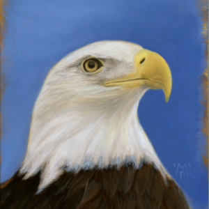 The Lady of Charlotte—Bald Eagle Portrait (10" x 8")