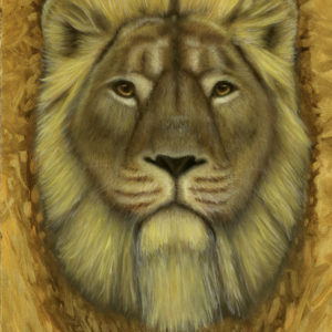 Some Magic in His Mane (Portrait of Aslan) (16" x 12")