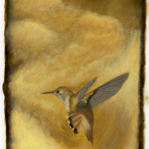 Swept Off To Mexico—Hummingbird Portrait (16" x 12")